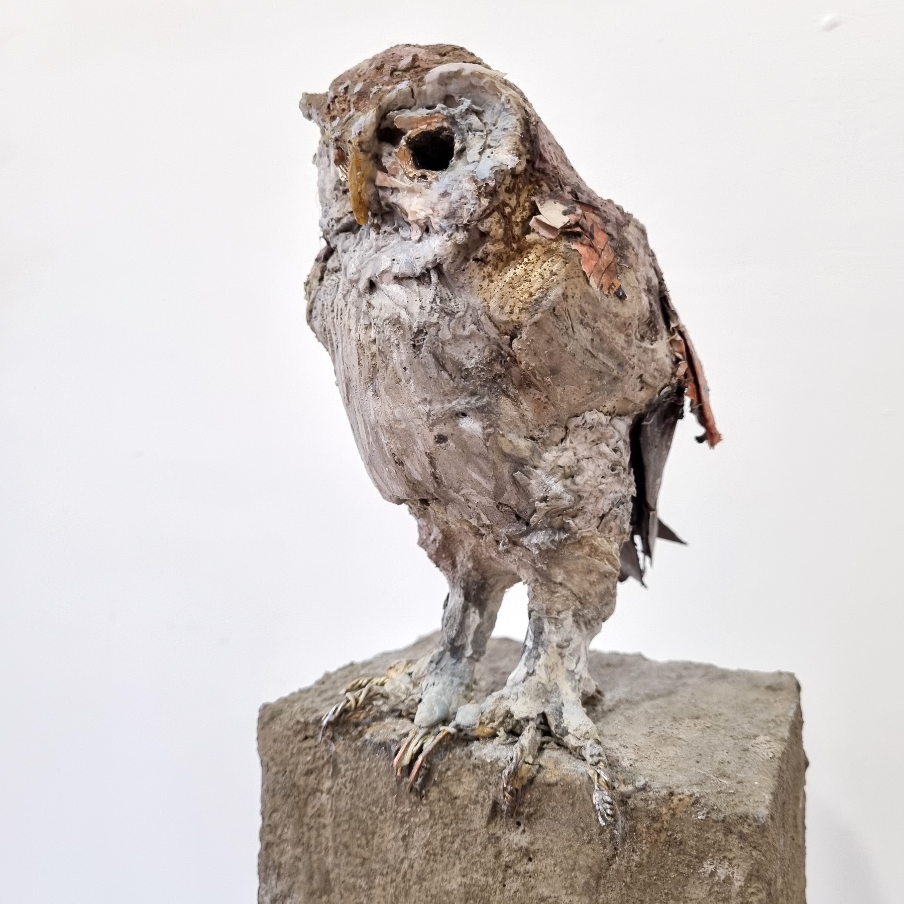 'Guardian Owl' by artist Mark Gibbs